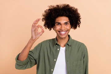 Poster - Photo of positive candid person hand make okey symbol approve feedback isolated on beige color background