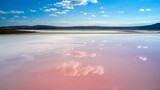 Fototapeta Sport - White clouds are reflected in the water surface of a pink lake with salt deposits near the shore. Shooting from a drone.