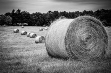 Hay Bales In Black And White