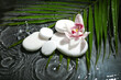 © Pixel-Shot - Spa stones with orchid flower and tropical leaf in water