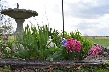 Wall Mural - Flower Garden