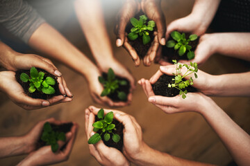 Sticker - Protecting the earth one plant at a time. Cropped shot of a group of people holding plants growing out of soil.