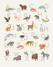 Modern Animal Alphabet Poster Design. Soft Colors For Wall Art, Prints, Decor. Vector Illustration.