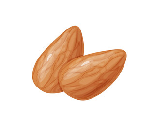 Wall Mural - Almond. Two whole almonds nuts without shell.