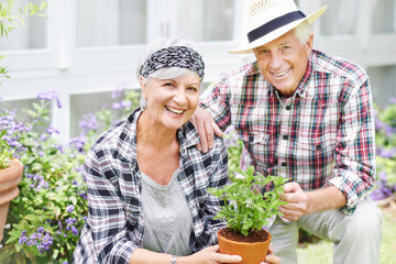 Canvas Print - Fresh air and natures beauty keeps us young. A happy senior couple busy gardening in their back yard.