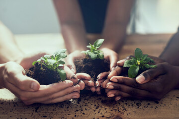 Poster - Great things start small. Closeup shot of a group of people each holding a plant growing in soil.