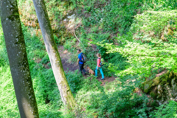 Wall Mural - Erlebniswanderung im schattigen Wald