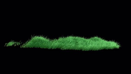 Wall Mural - grass wind slow seamless loop with alpha channel. element footage place on footage or background and