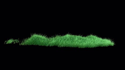 Wall Mural - grass wind strong seamless loop with alpha channel. element footage place on footage or background a