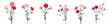 Carnation bouquets. Set of red, pink, white flowers, green leaves on empty background. Digital realistic illustration for Mother's Day, Victory Day. Vintage vector in watercolor style. Panoramic view