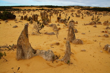 Sticker - Pinnacles Desert in Western Australia