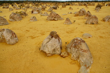 Canvas Print - Pinnacles Desert in Western Australia