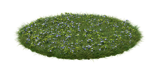 A round patch of grass full of veronica flowers, isolated on white background. 3d image