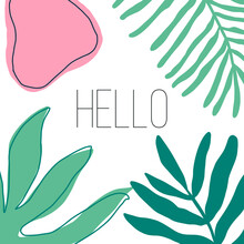 Summer Time Illustration. Hello Summer Tropical Banner With Jungle Leaves And Palm Fronds. Exotic Plants Illustration In Vector.