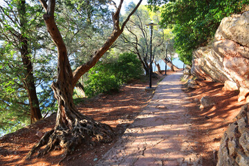 Wall Mural - Road in Park Milocer in a beautiful summer day in Sveti Stefan, Montenegro