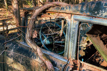 Beautiful Shot Of An Old Rusty Car Found In The Woods With Vines Growing Through It On A Sunny Day