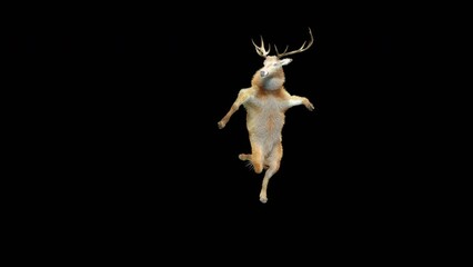 Wall Mural - deer dancing cg fur 3d rendering animal realistic cgi vfx animation loop composition 3d mapping cart