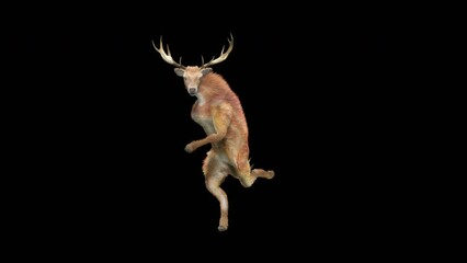 Wall Mural - deer dancing cg fur 3d rendering animal realistic cgi vfx animation loop composition 3d mapping cart