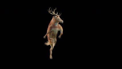Wall Mural - deer dancing cg fur 3d rendering animal realistic cgi vfx animation loop composition 3d mapping cart
