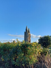 Wall Mural - St Andrews Cathedral Tower in St Andrews, Scotland