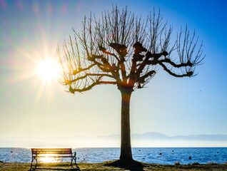 Canvas Print - bench at a park