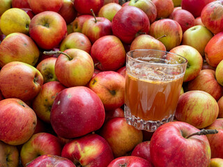 Canvas Print - Glass with apple juice on a stack of apples