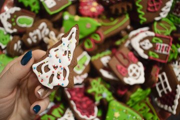 Sticker - Closeup shot of a X-mas tree-shaped tasty chocolate cookie for Christmas in the female hand