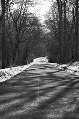 Canvas Print - Grayscale shot of a snowy road