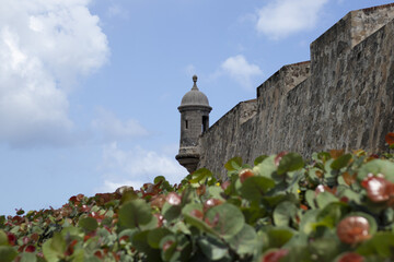 Sticker - Castillo San Felipe del Morro citadel in San Juan, Puerto Rico