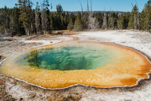 Hot Springs In  Yellowstone National Park.