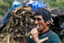 Hispanic Man Eating Corn Stalk