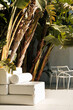 © Malquerida Studio/Stocksy - Tropical patio with outdoors furniture