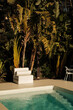 © Malquerida Studio/Stocksy - Tropical swimming pool