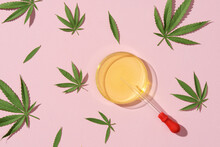 Hemp Oil On A White Podium And Hemp Leaves In Petri Dishes On A Pink Background
