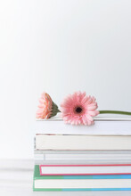 Pink Flower On Stack Of Books