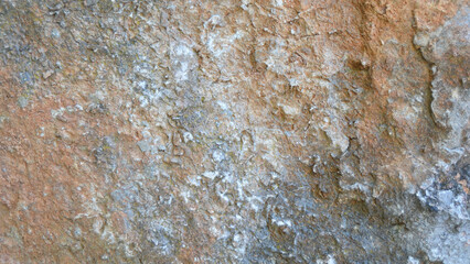 Wall Mural - background texture of limestone stone surface