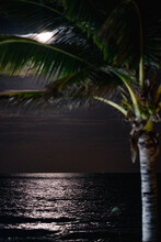 Full Moon In Cancun