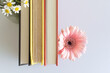 © Lauren Lee/Stocksy - Flowers and books