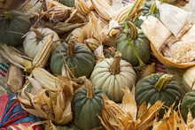 Variety Of Pumpkins And Corn Kernels