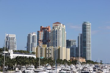 Wall Mural - Sunny South Florida