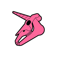 Unicorn Skull Isolated. Magic Horse With Horn Cranium. Vector Illustration