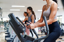 Women Exercising On Treadmills At The Gym
