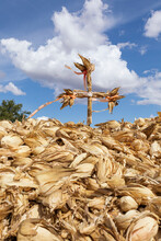 Close Up Of A Pile Of Corn With A Cross On The Top