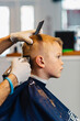 © Raymond Forbes LLC/Stocksy - Young Boy Getting  Haircut at Barber Shop