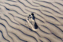 A Lone Footprint In Sand