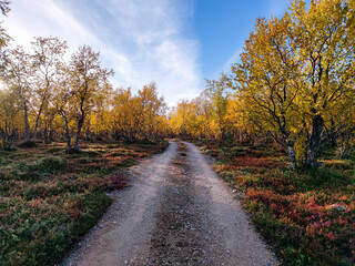 Autumn Path