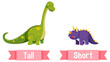 © brgfx - Opposite English Words tall and short