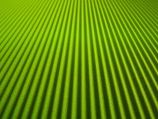 Wall Mural - green background with longitudinal stripes as an abstraction