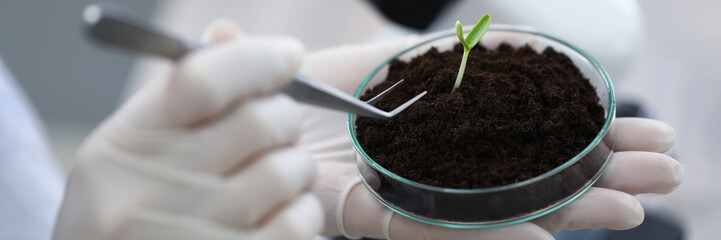 Biologist using tweezer tool for work