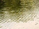 Fototapeta Tęcza - Green Water Texture